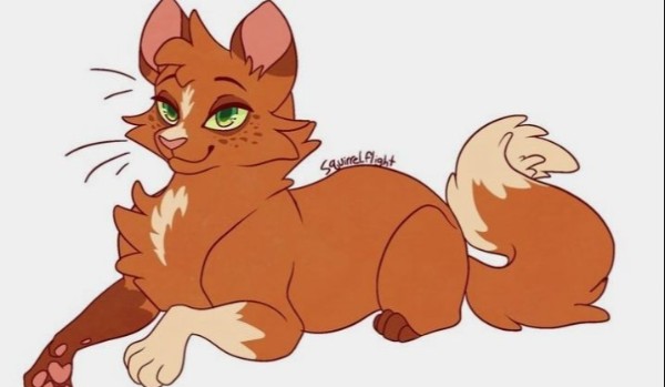 Ocena postaci z wojo#wiewióra