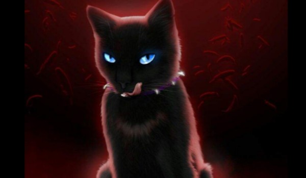 Generator imion# edycja wojo 2