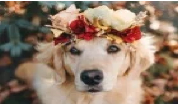 Ocenianie profilu (KittyPatrycjaXx)