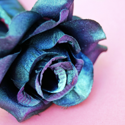 rosep_moonlight