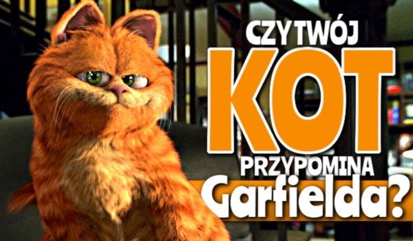 Czy Twój kot przypomina Garfielda?