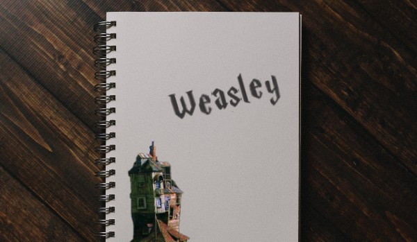 Najskrytszy pamiętniku – #2