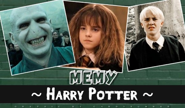 Memy z Harrego Pottera – #2