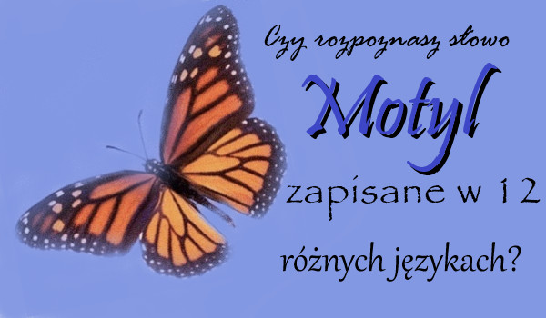 Czy rozpoznasz słowo „Motyl” zapisane w 12 różnych językach?