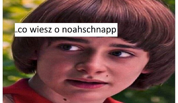 co wiesz o noah schnapp