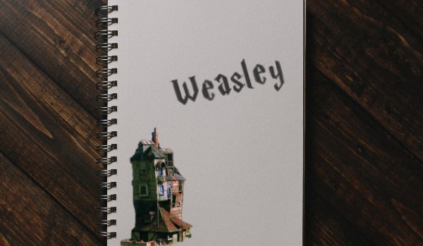 Najskrytszy pamiętniku – #1