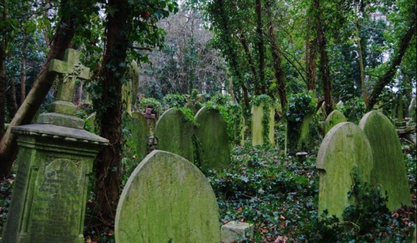 Komando Scoia’tael Klausa [2/3]