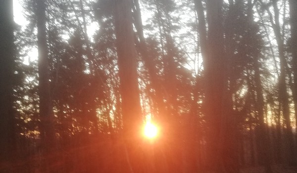 Niewypowiedziane – Rozdział I Malwa i patyk