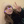 zozolka_989