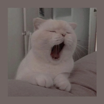 Meow_kitty