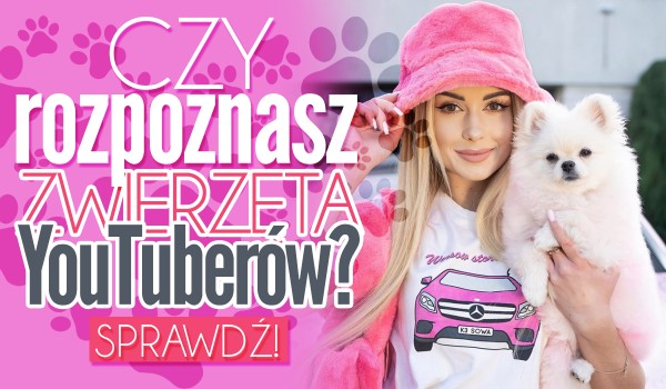Czy rozpoznasz zwierzęta tych YouTuberów?