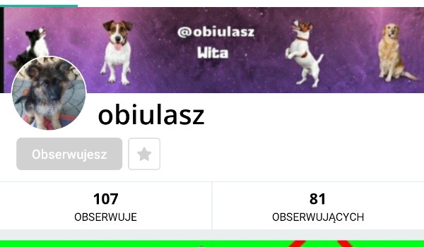 Ocenianie profili – @obiulasz