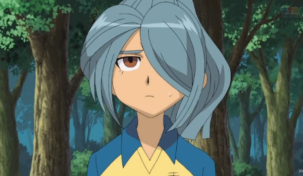 Inazuma eleven #14