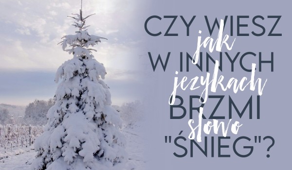 Czy wiesz, jak w innych językach brzmi słowo „śnieg”?