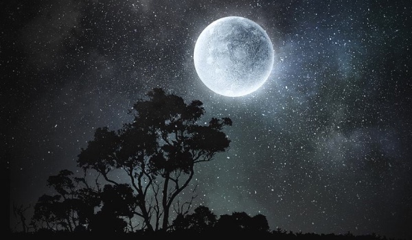 Tajemnica watachy rozdział pierwszy