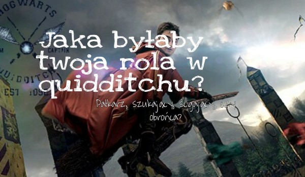 Jaka Byłaby Twoja Rola W Quidditchu Samequizy 9191