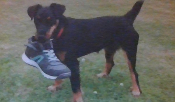 Miniaturki i tła do oddania 4