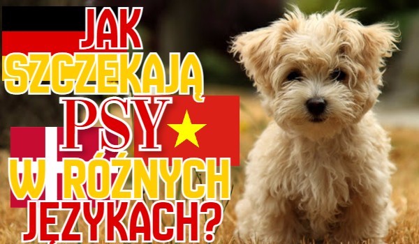 Jak szczekają psy w różnych językach?