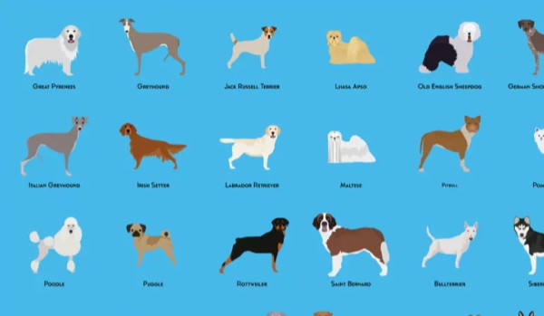 Czy przeżyjesz jako pies?