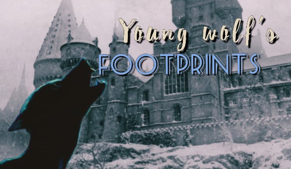Young wolf’s footprints | One shot