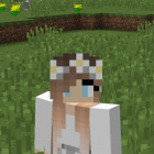 Minecraft_Ami