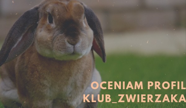 Oceniam profil ~Klub_Zwierzaka~