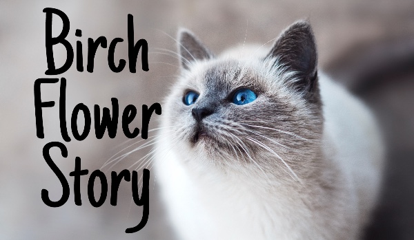 Birch Flower Story {rozdział 1}
