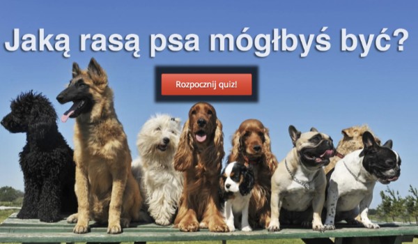 Jakim psem jesteś?