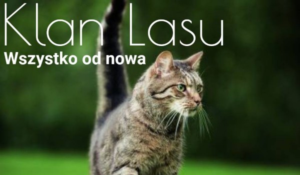 Klan Lasu|Wszystko od nowa|#18