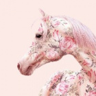 Fairy_Horse