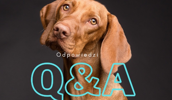 Q&A| Odpowiedzi