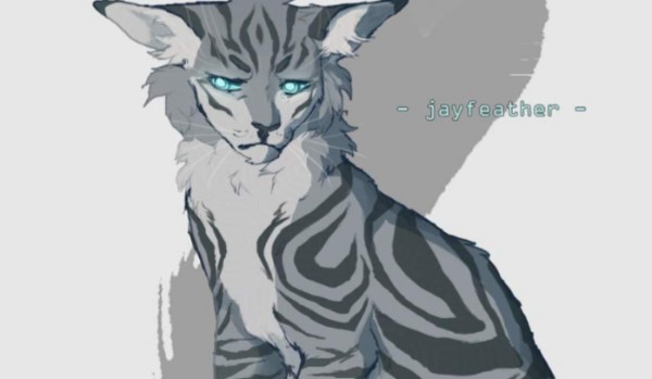 Oceniam postacie#5 sójek