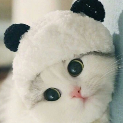 chibiki
