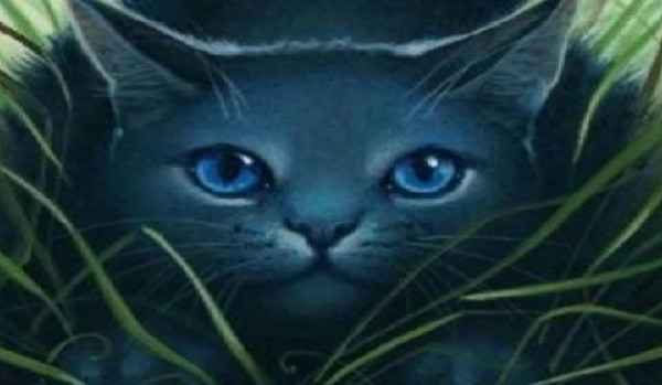 W dziczy#rozdział pierwszy