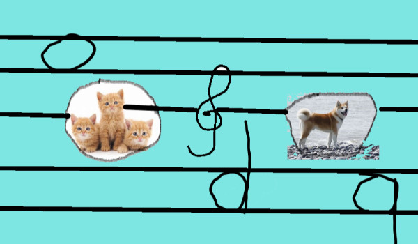Odpowiedz na muzyczne pytania, a ja powiem Ci, czy jesteś kotem czy psem!