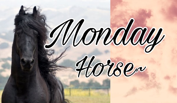 Monday Horse 3/1