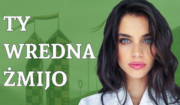 Ty Wredna Żmijo #19