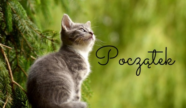 Klan Bluszczu | Prolog