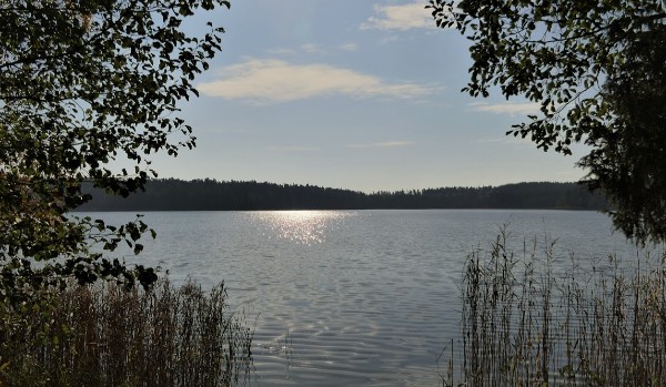 Jakip typem osoby jesteś?