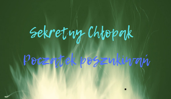 Sekretny chłopak – rozdział 2