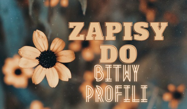 °•Zapisy do bitwy profili•°