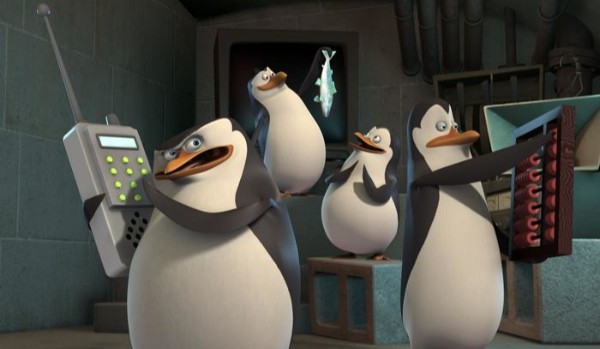 Memy – pingwiny z madagaskaru!