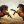 HORSES_DOGS