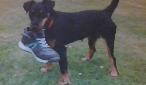 Miniaturki i tła do oddania 5