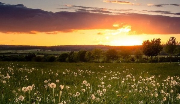 Sprawdz jakim jesteś typem!