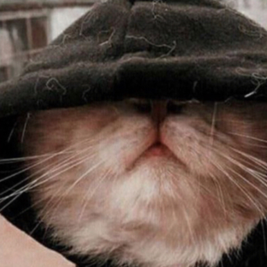 Ms.Cat