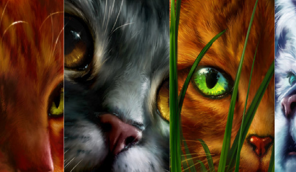 Generator imion Wojownicy#2