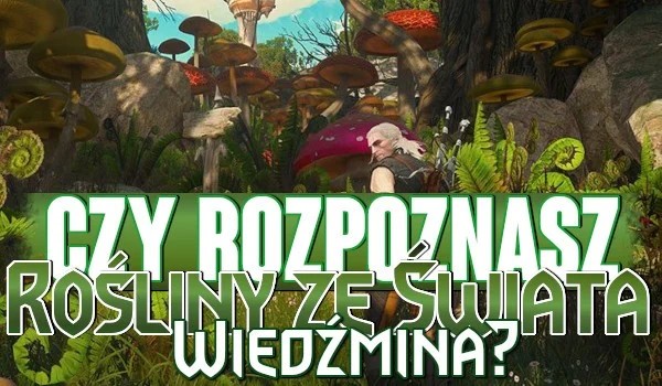 Czy rozpoznasz rośliny ze świata Wiedźmina?