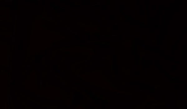 18 pytań na temat 19+