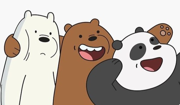 Którego misia przypominasz